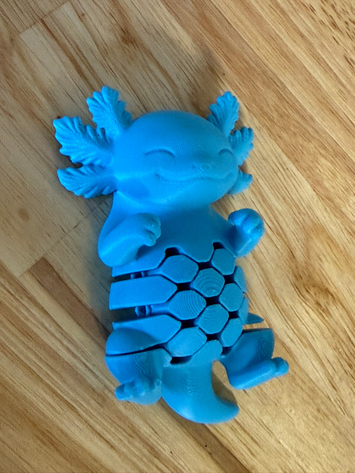 Mystery Fidget Pack